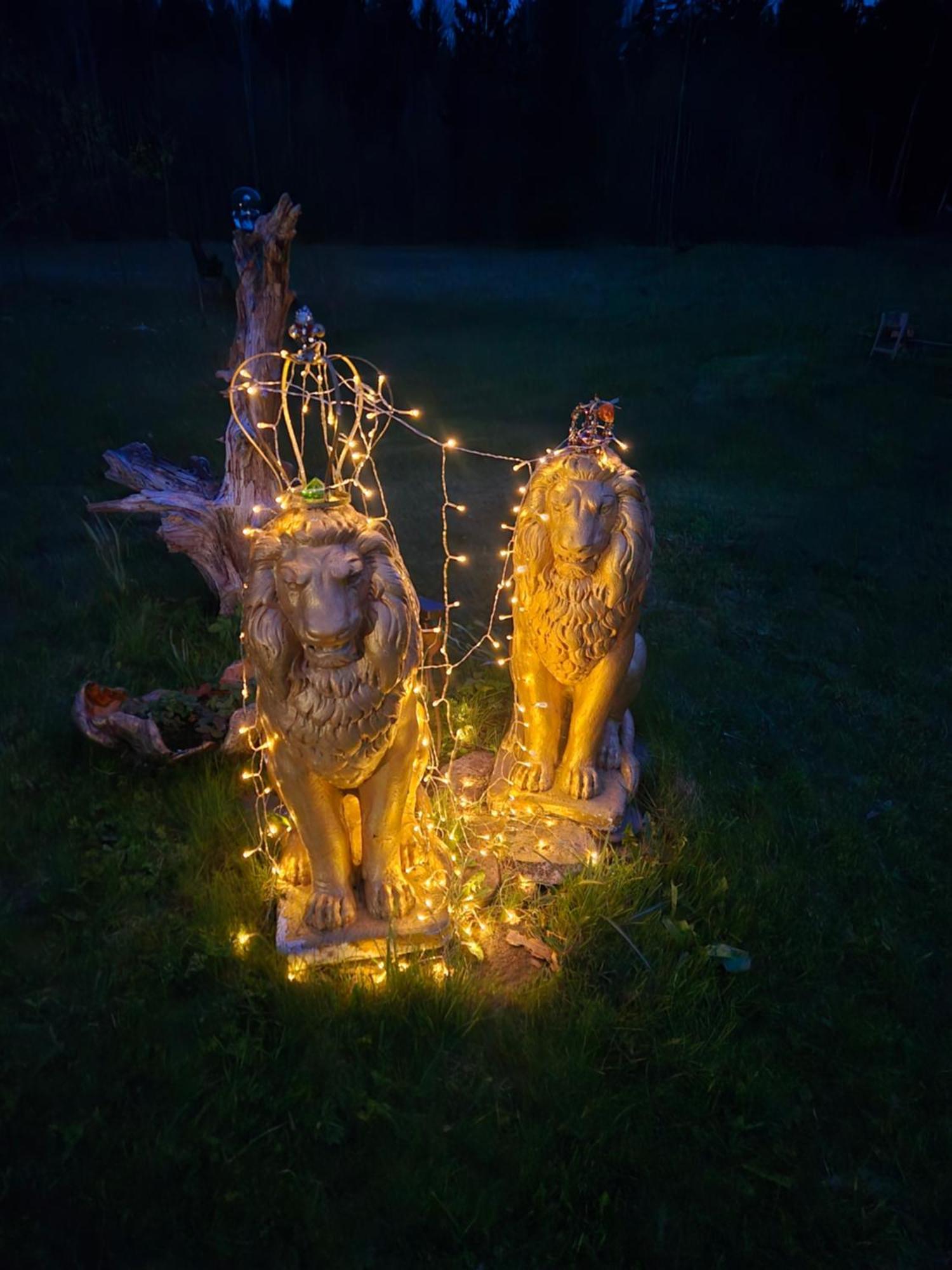 Gold Sun Zelta Saule Villa Matkule Dış mekan fotoğraf